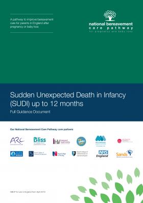 Sudden Unexpected Death in Infancy (SUDI) cover
