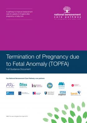 Cover of TOPFA pathway pdf